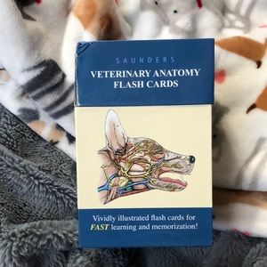 Saunders Veterinary anatomy flash cards